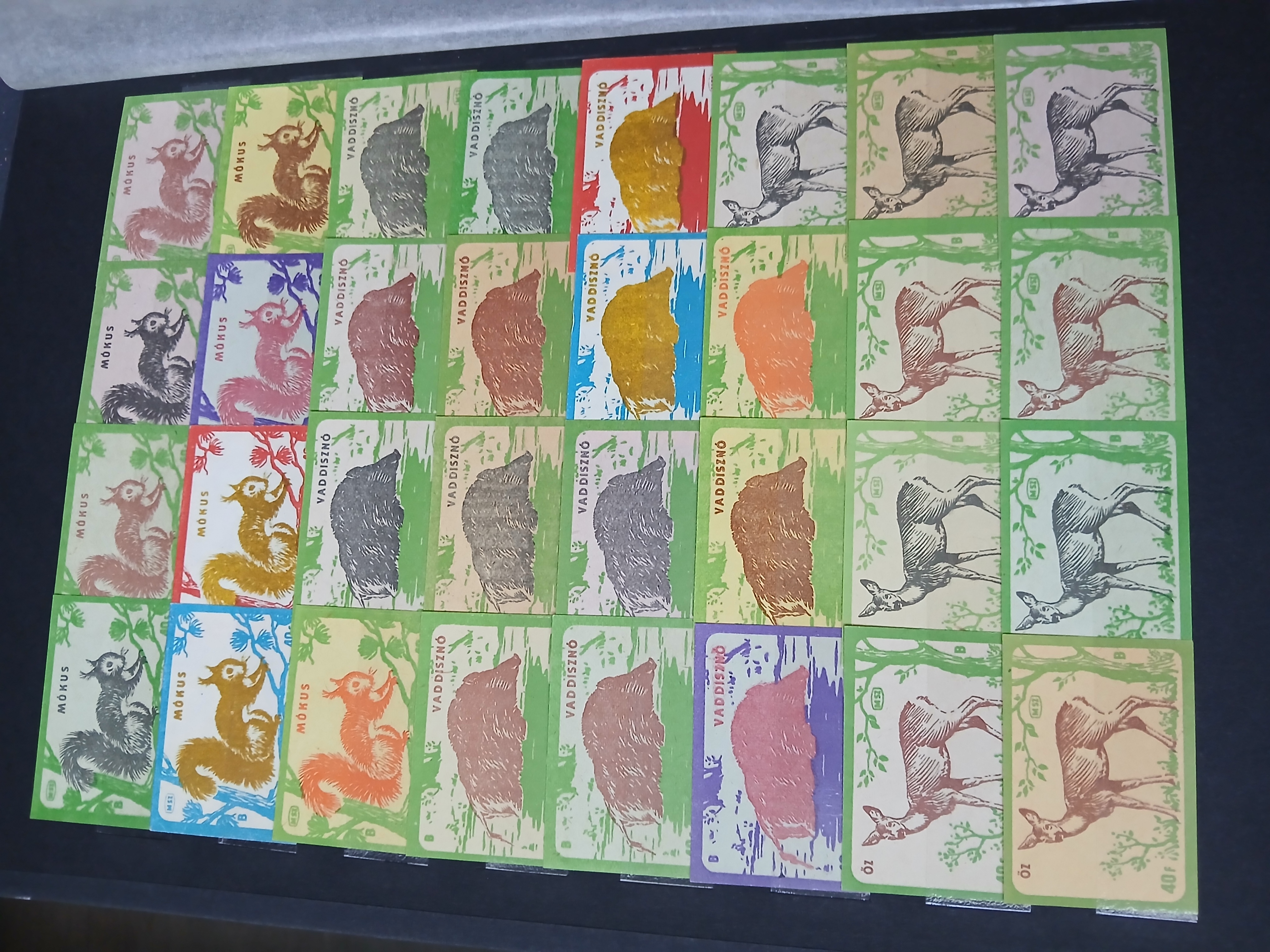 20250420_172147